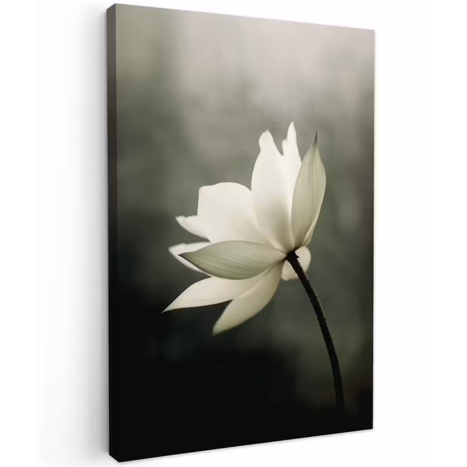 Buiten canvas - Wit - Lotus - Donker - Bloem — 1