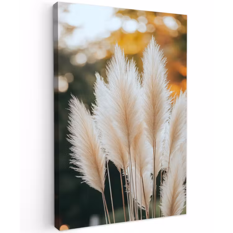 Buiten canvas - Pampasgras - Pluimen - Sierlijk — 1