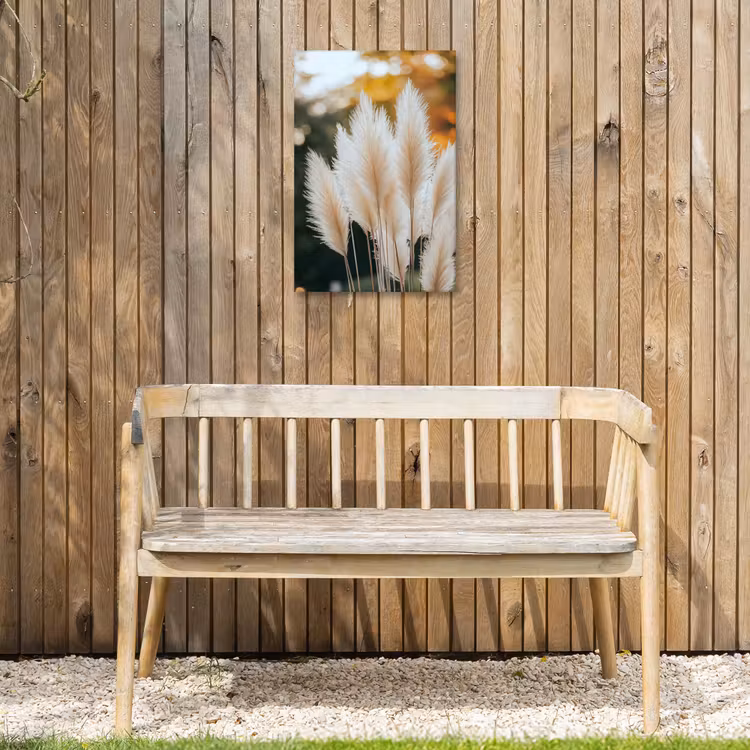 Buiten canvas - Pampasgras - Pluimen - Sierlijk — 3