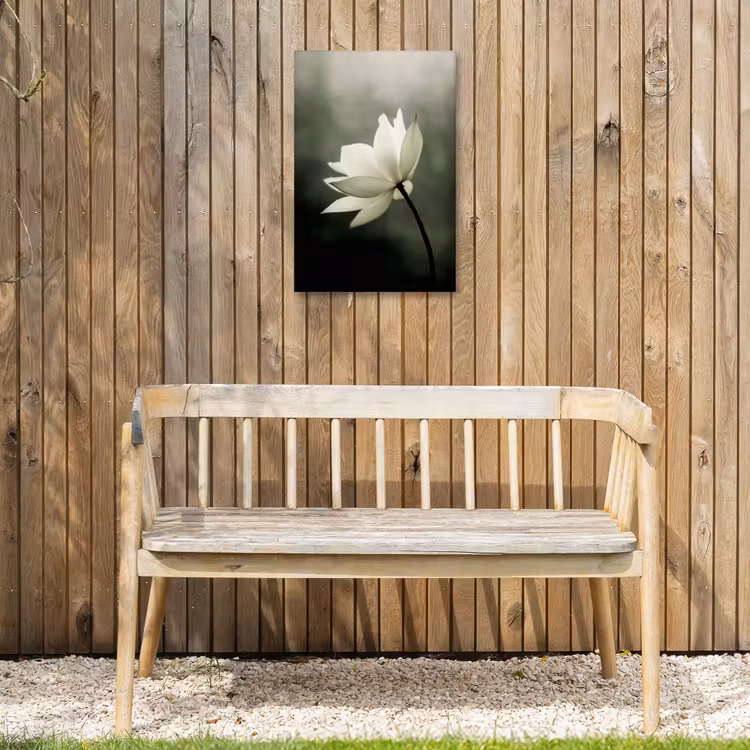 Buiten canvas - Wit - Lotus - Donker - Bloem — 3