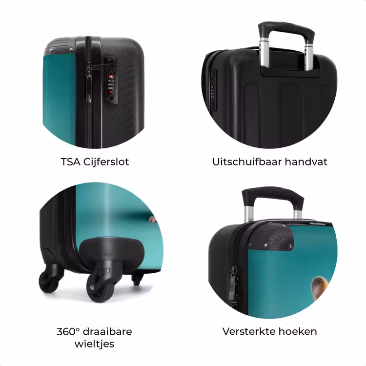Koffer - Hamster met een wortel op een blauwe achtergrond — 8