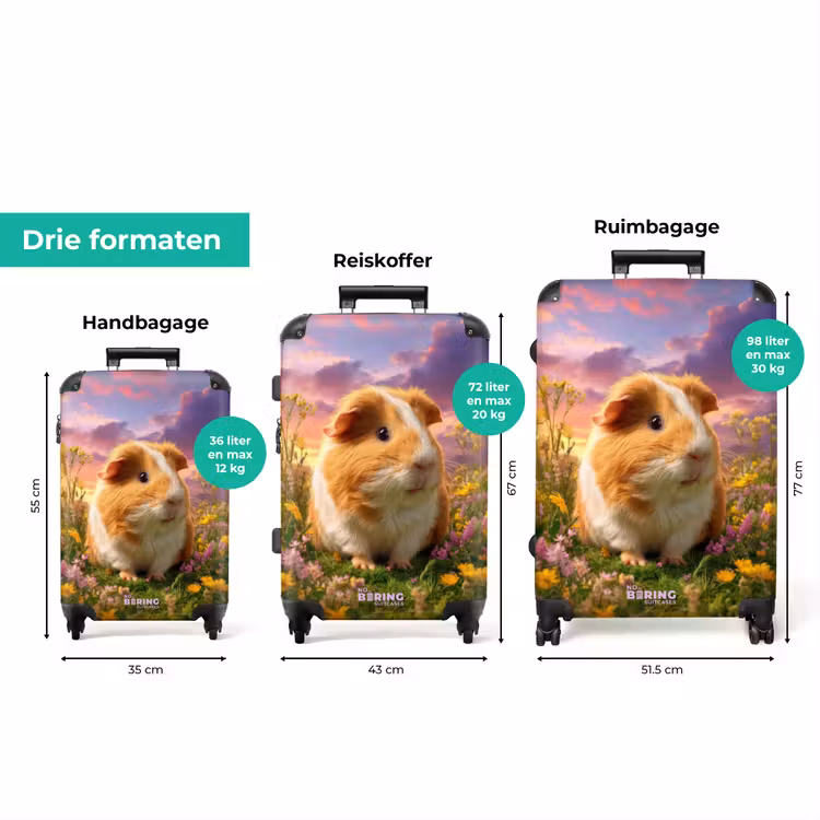 Koffer - Hamster tussen de bloemen met zonsondergang — 3