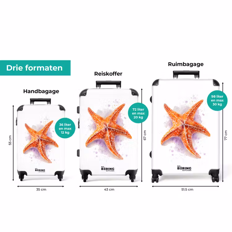Koffer - Oranje zeester op een witte achtergrond — 3