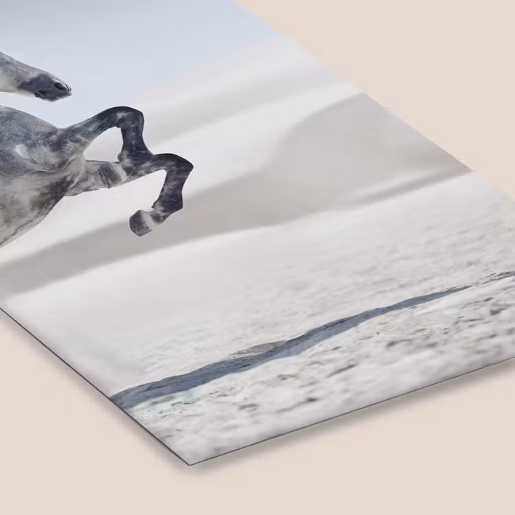Poster met lijst - Paard - Dieren - Zand - Natuur — 7