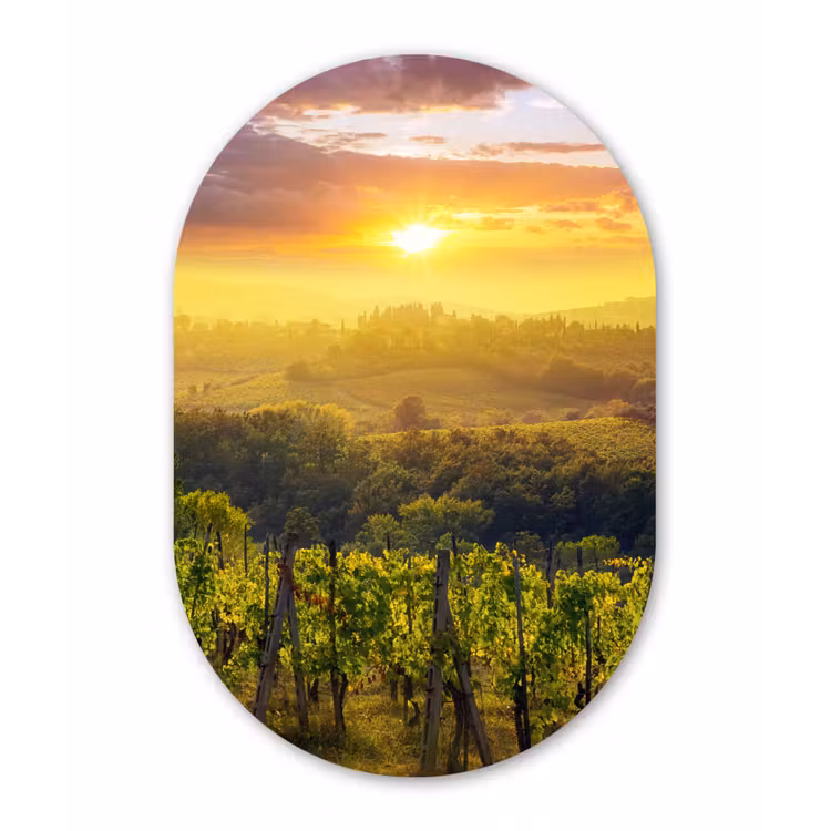 Muurovaal - Kunststof - Toscane - Italië - Druivenbomen — 2