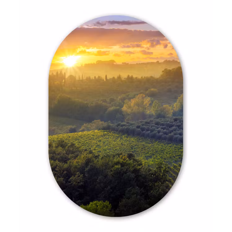 Muurovaal - Kunststof - Toscane - Landschap - Zon — 2