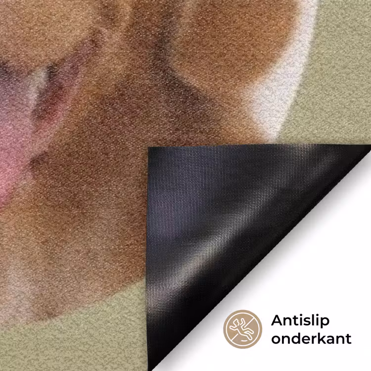 Gepersonaliseerde deurmat - Eigen - Foto's - Rond — 6