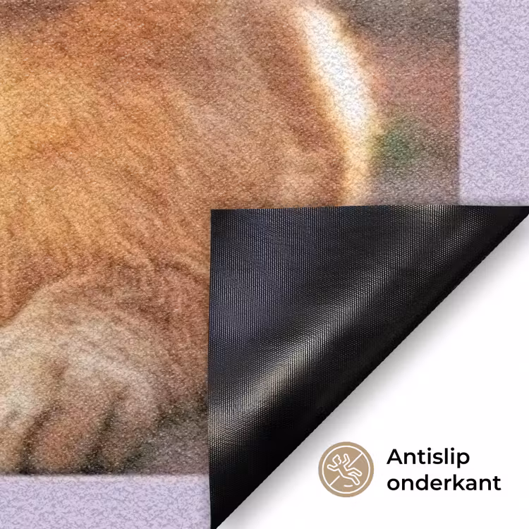 Gepersonaliseerde deurmat - Eigen - Foto's - Vierkant — 6