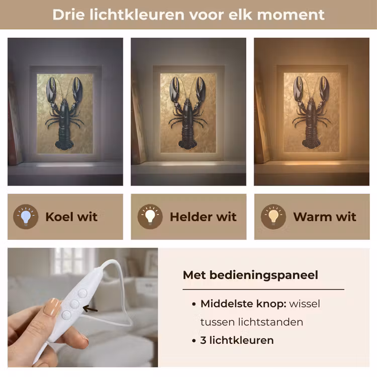 Tafellamp - Kreeft - Zwart - Goud - Luxe — 6