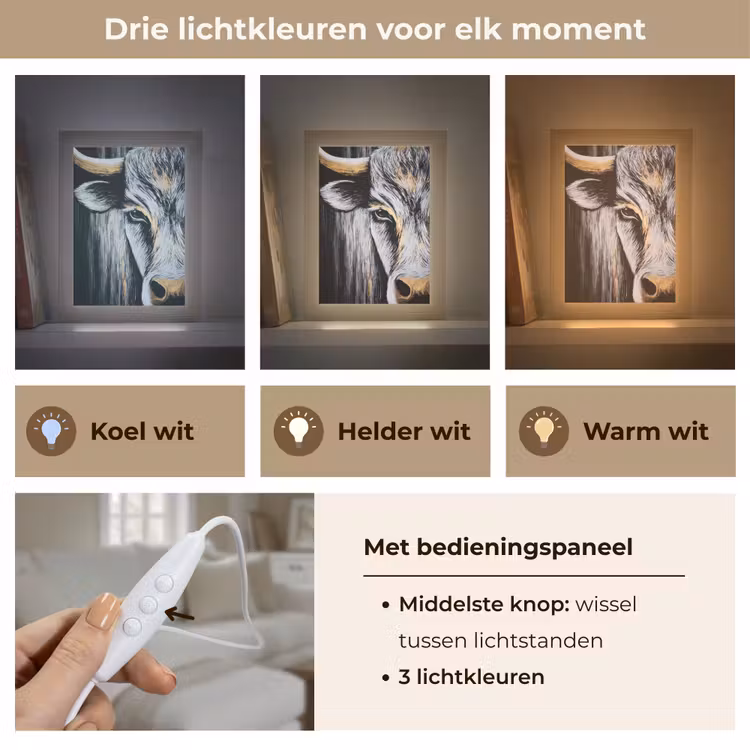 Tafellamp - Stier - Hoorns - Snuit - Goud — 6