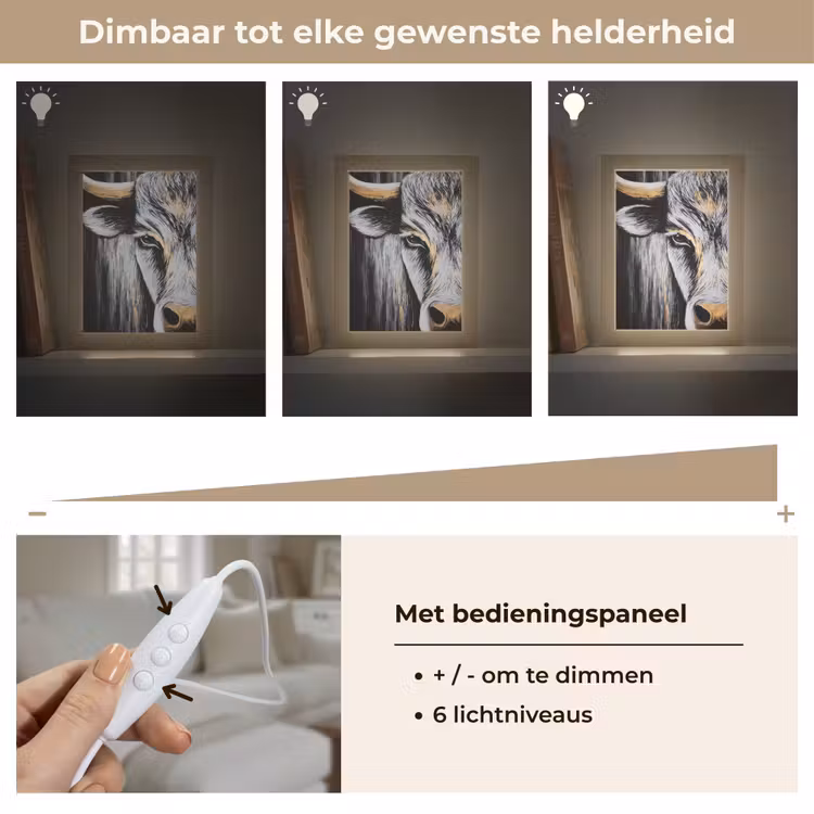 Tafellamp - Stier - Hoorns - Snuit - Goud — 8