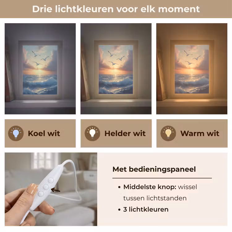 Tafellamp - Meeuwen - Zonsondergang - Zee - Wolken — 6