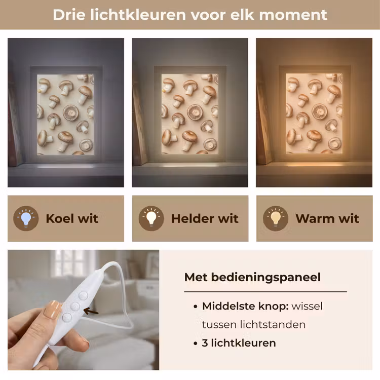 Tafellamp - Kastanje Champignons - Beige — 6