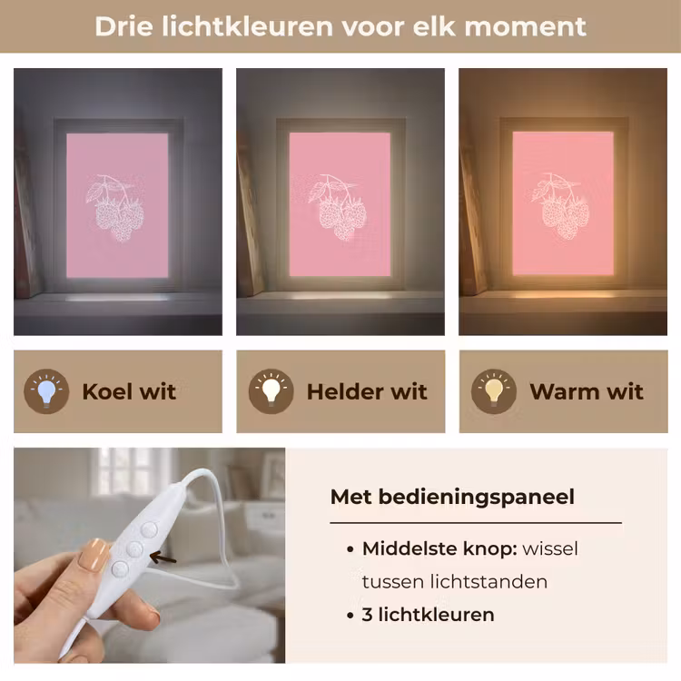 Tafellamp - Frambozen - Steel - Getekend - Roze — 6