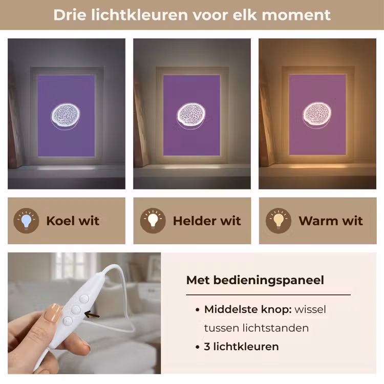 Tafellamp - Passievrucht - Zaadjes - Paars - Minimalistisch — 6