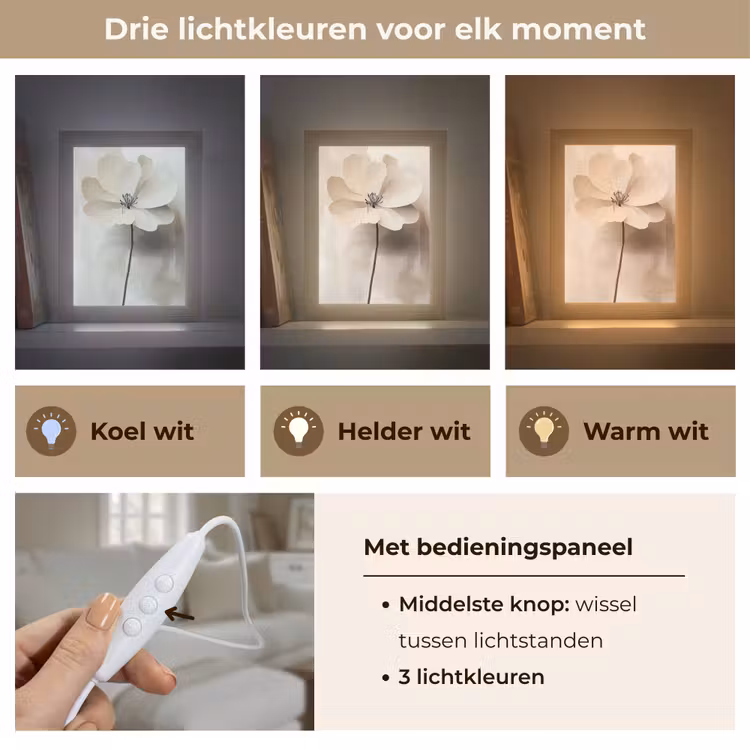 Tafellamp - Bloem - Beige - Verf - Schaduw — 6