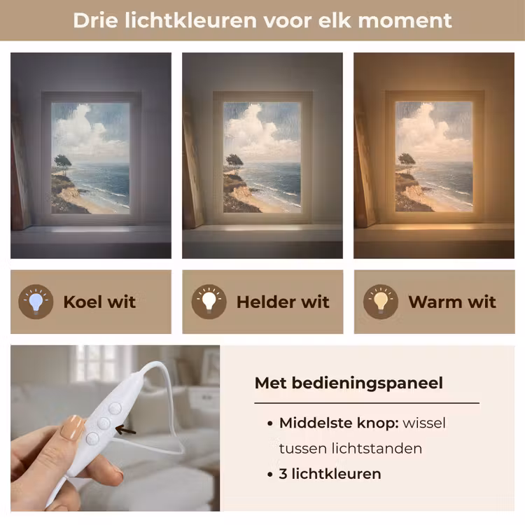 Tafellamp - Klif - Zee - Boom — 6