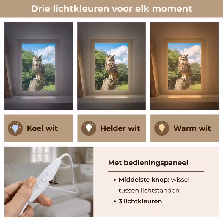 Tafellamp - Uil - Boomstronk - Bos - Lucht — 6