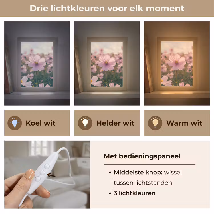 Tafellamp - Bloemen - Paars - Wazig — 6