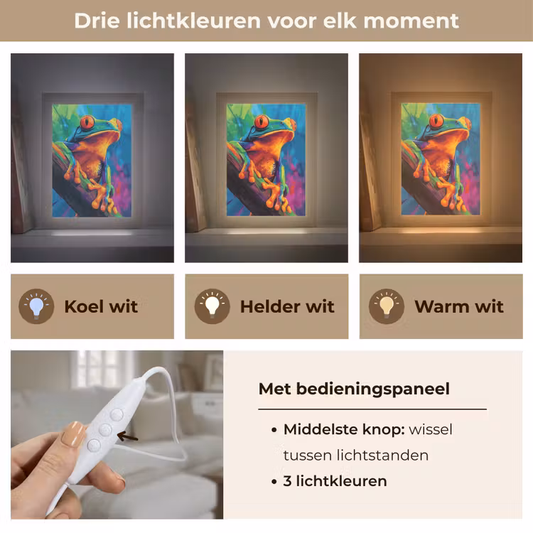Tafellamp - Kikker - Felgekleurd - Tak - Regenboog — 6