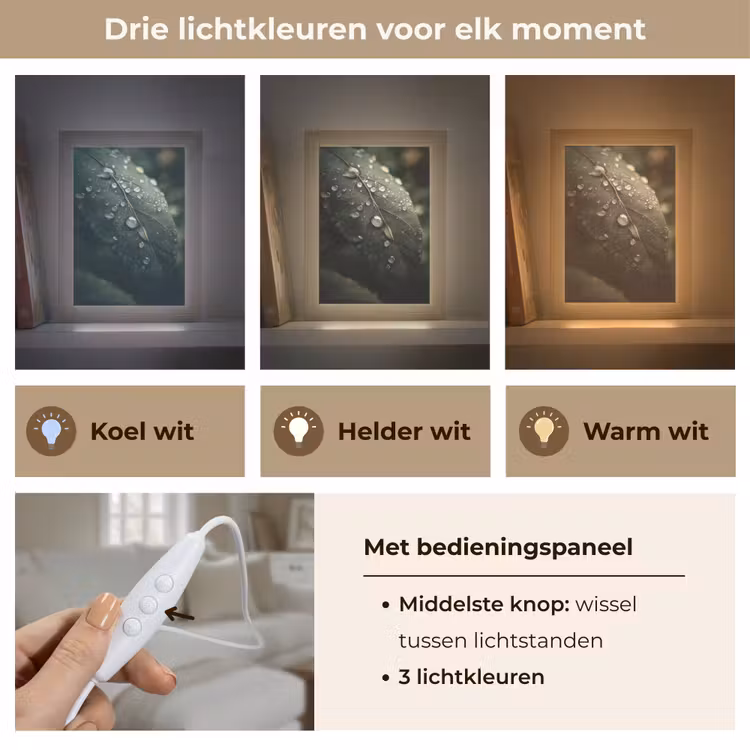 Tafellamp - Blad - Groen - Nerven - Regendruppels — 6
