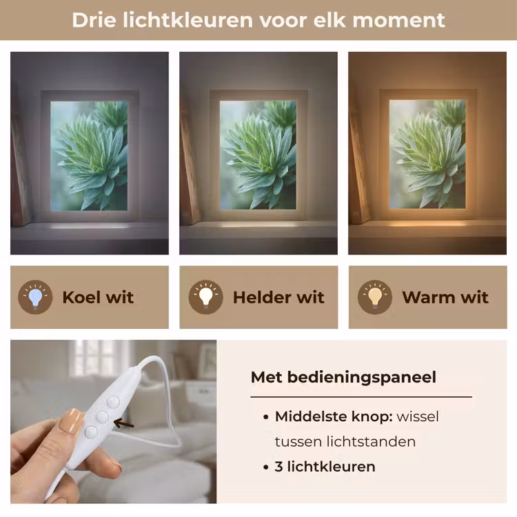 Tafellamp - Blad - Plant - Groen - Textuur — 6