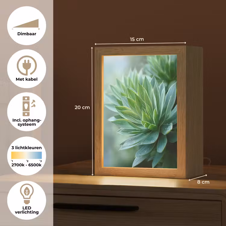Tafellamp - Blad - Plant - Groen - Textuur — 7