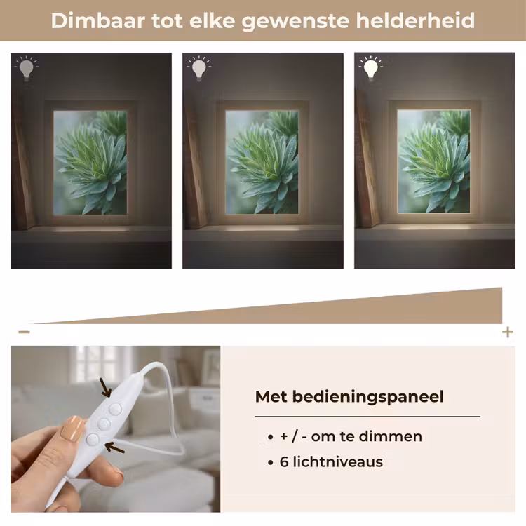 Tafellamp - Blad - Plant - Groen - Textuur — 8
