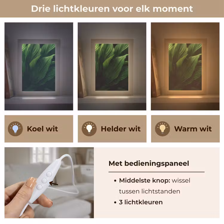 Tafellamp - Bladeren - Schaduw - Groen - Textuur — 6