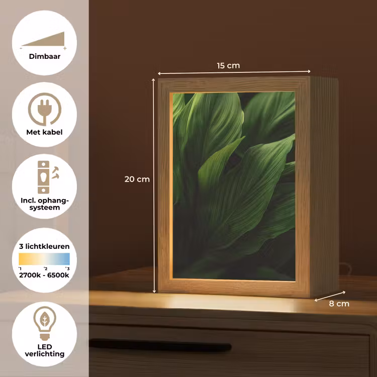 Tafellamp - Bladeren - Schaduw - Groen - Textuur — 7