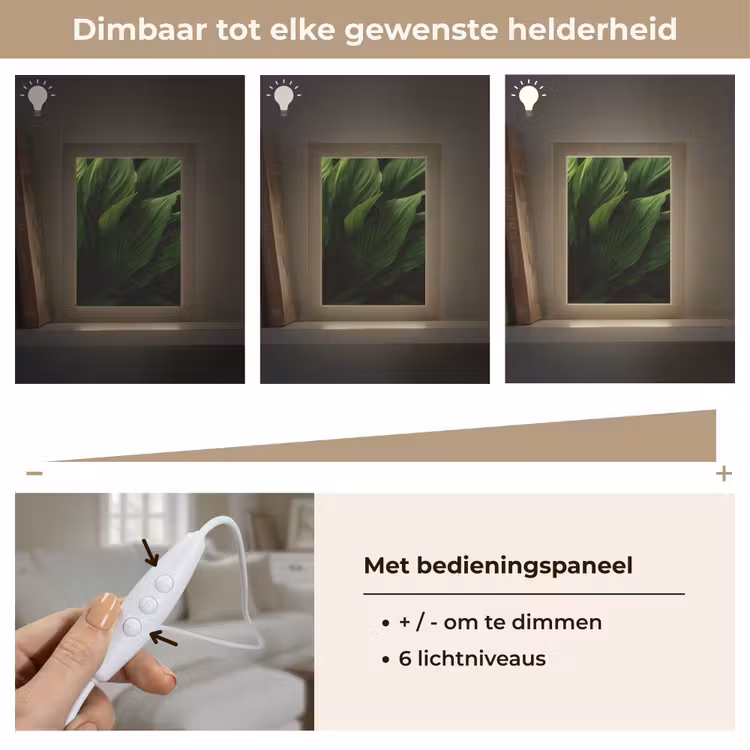 Tafellamp - Bladeren - Schaduw - Groen - Textuur — 8