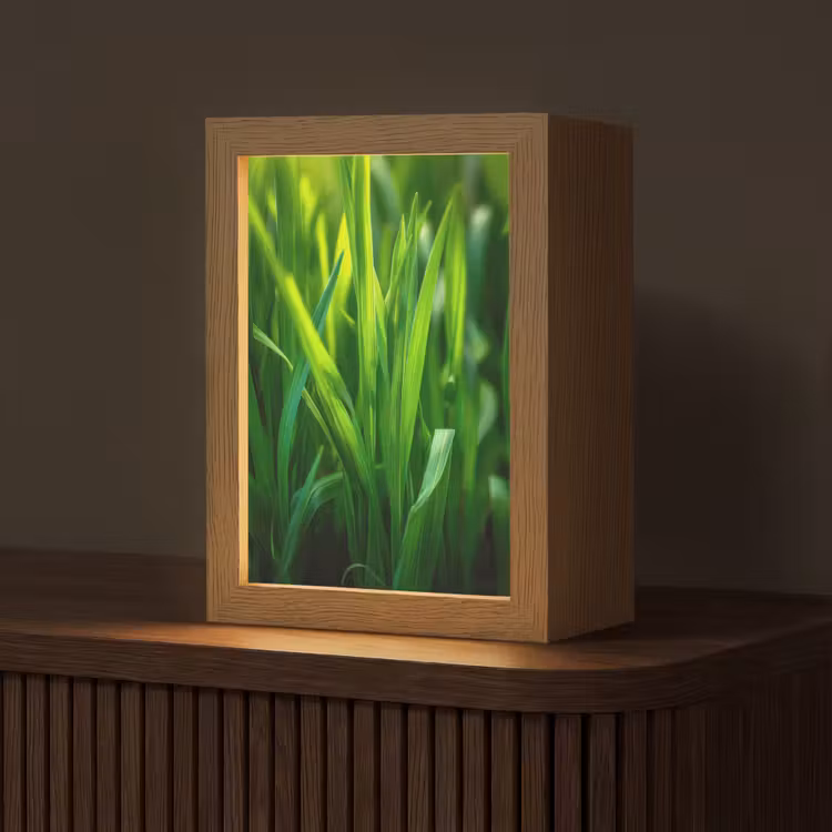 Tafellamp - Grassprieten - Lichtinval - Groen — 1