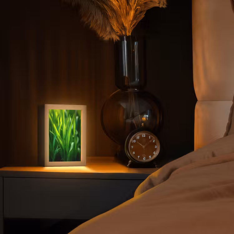 Tafellamp - Grassprieten - Lichtinval - Groen — 2