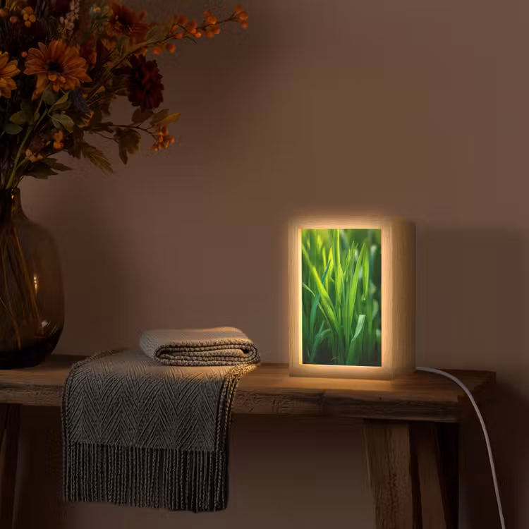 Tafellamp - Grassprieten - Lichtinval - Groen — 3