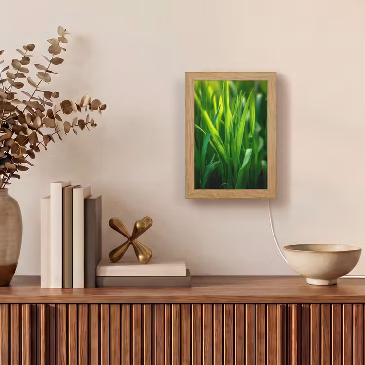 Tafellamp - Grassprieten - Lichtinval - Groen — 4