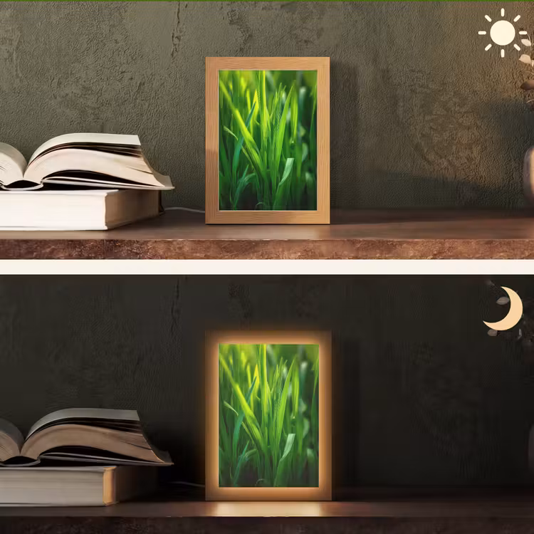 Tafellamp - Grassprieten - Lichtinval - Groen — 5
