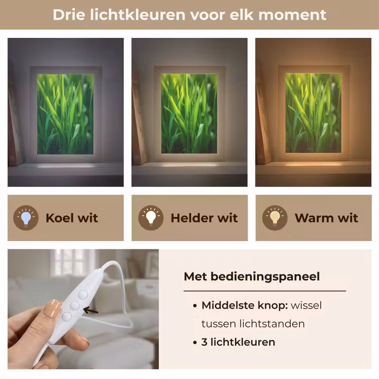 Tafellamp - Grassprieten - Lichtinval - Groen — 6