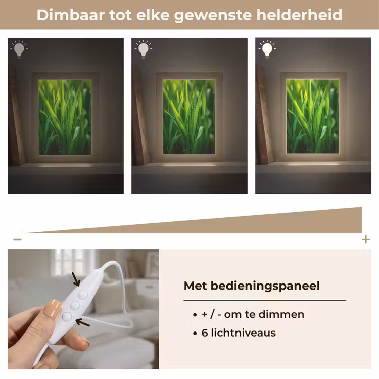 Tafellamp - Grassprieten - Lichtinval - Groen — 8