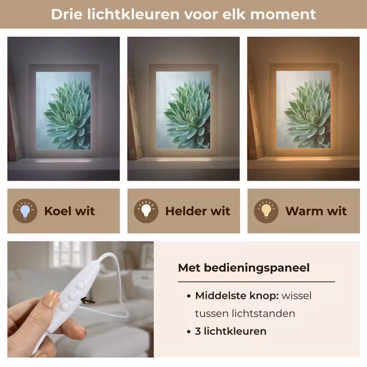 Tafellamp - Vetplant - Bladeren - Groen - Wazig — 6