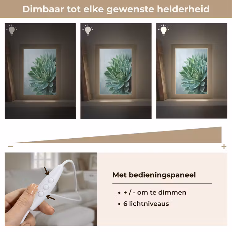 Tafellamp - Vetplant - Bladeren - Groen - Wazig — 8