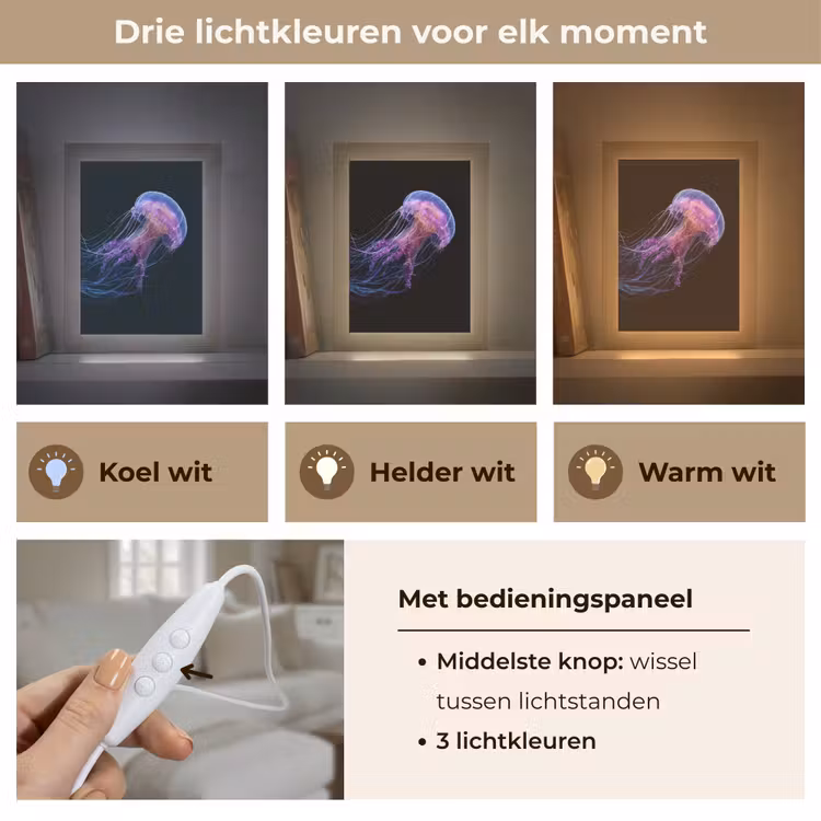 Tafellamp - Kwal - Doorzichtig - Roze - Tentakels — 6