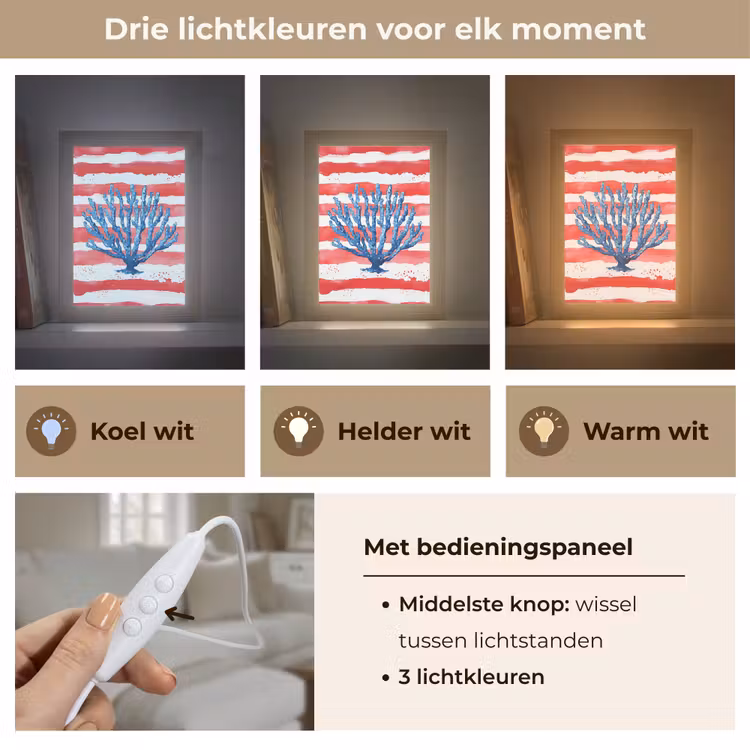 Tafellamp - Koraal - Verfstructuur - Rood - Blauw — 6