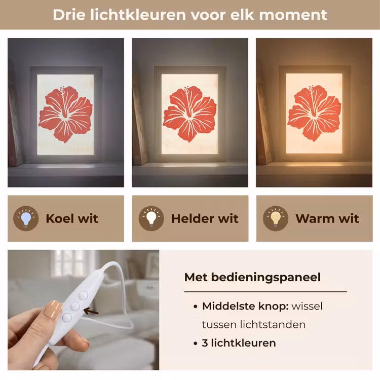 Tafellamp - Rode hibiscusbloem - Textuur achtergrond - Beige — 6