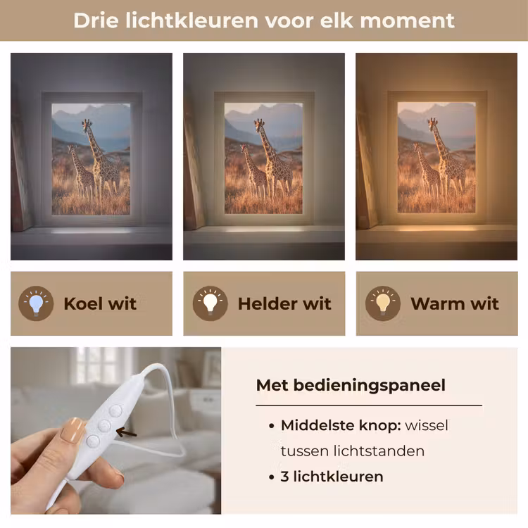 Tafellamp - Giraffen - Hoog gras - Acaciabomen — 6