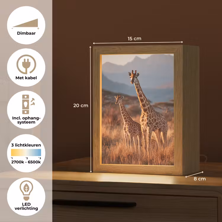 Tafellamp - Giraffen - Hoog gras - Acaciabomen — 7