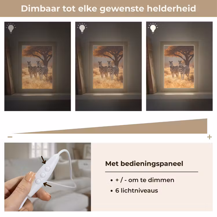 Tafellamp - Zebra's - Savannelandschap - Gras — 8