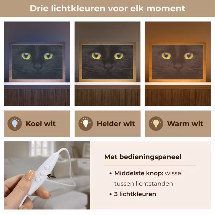 Tafellamp - Kat - Zwart - Dieren - Natuur — 7