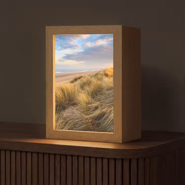 Tafellamp - Gras - Duinen - Strand - Zomer — 1