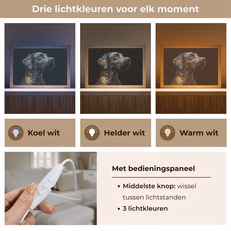 Tafellamp - Hond - Zwart - Bloemen — 7