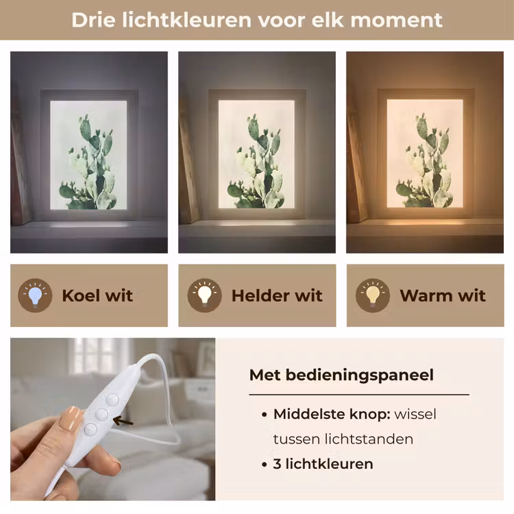Tafellamp - Cactus - Groen - Minimalistisch — 6